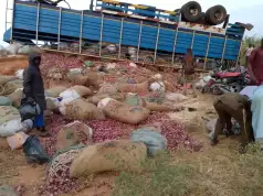 Kebbi: 11 Onion Traders Die In Auto Crash Kebbi: 11 Onion Traders Die In Auto Crash
