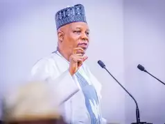 FG Deploying New Strategies To Tackle Insecurity, VP Shettima Assures Naira Will Continue To Stabilize –Shettima