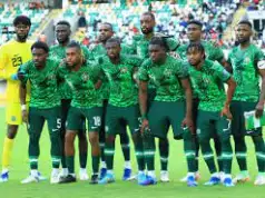 2026 WCQ: Why Super Eagles Must Beat Lesotho With Wide Margin — Ekpo Udeze Faults Peseiro For Starting Chukwueze In AFCON Final