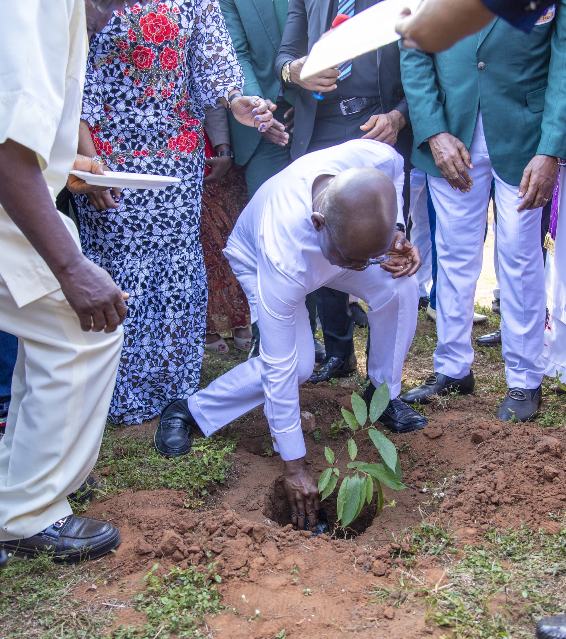 Governor Otti planting the Centenary Anniversary tree