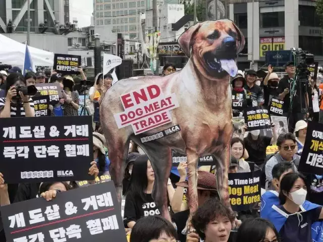 South Korea Passes Law Banning Dog Meat Trade South Korea Passes Law Banning Dog Meat Trade