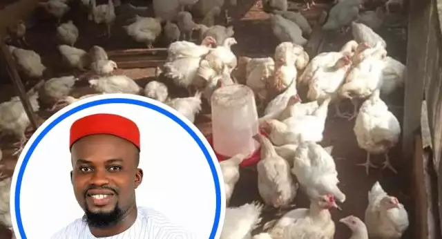 Hoodlums Steal Birds Worth Over N200K In My Farm While I Was At Cross Over Service – Nigerian Man Cries Out (Photos) Hoodlums Steal Birds Worth N200K In Abia Farm While Owner Was At Cross Over Service