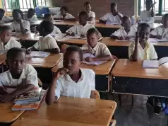 50% Of Enugu Pupils Unable To Read, Solve Simple Mathematics — SSG