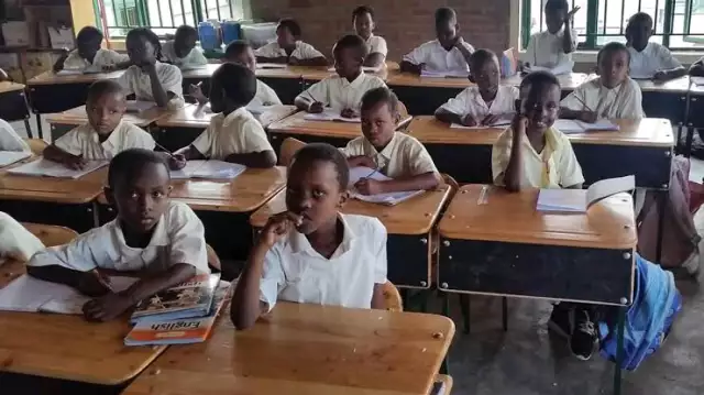 50% Of Enugu Pupils Unable To Read, Solve Simple Mathematics — SSG