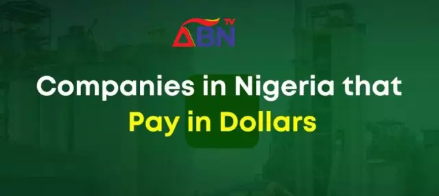 Ten Companies In Nigeria That Pay In Dollars Ten Companies In Nigeria That Pay In Dollars
