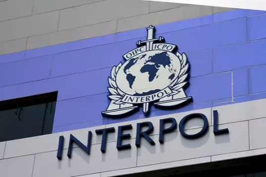 FG Places 3 Nigerians On Interpol’s Watch List Over Alleged Forgery, Fraud
