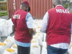 Wanted Auto Spare Parts Dealer Nabbed By NDLEA Over 77.5kg Cocaine Trafficking Case Wanted Auto Spare Parts Dealer Nabbed By NDLEA Over 77.5kg Cocaine Trafficking Case
