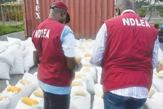 NDLEA Obtains Several Convictions In Kano Wanted Auto Spare Parts Dealer Nabbed By NDLEA Over 77.5kg Cocaine Trafficking Case