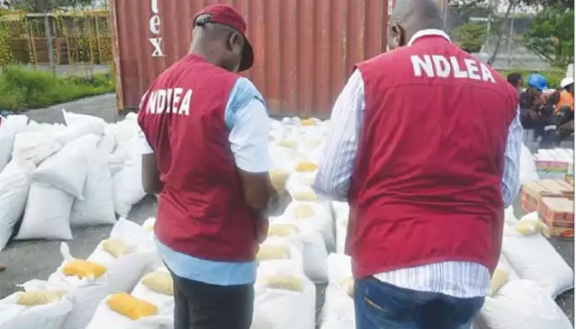 Wanted Auto Spare Parts Dealer Nabbed By NDLEA Over 77.5kg Cocaine Trafficking Case Wanted Auto Spare Parts Dealer Nabbed By NDLEA Over 77.5kg Cocaine Trafficking Case