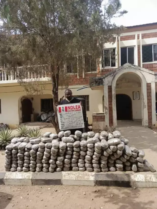 NDLEA Seizes Large Shipments Of Illicit Drugs In 2 States & FCT NDLEA Seizes Large Shipments Of Illicit Drugs In 2 States & FCT