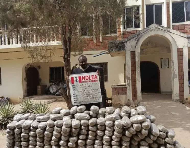 NDLEA Seizes Large Shipments Of Illicit Drugs In 2 States & FCT