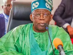 Tinubu Orders Implementation Of Orosanye’s Report, To Merge Agencies