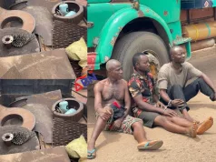Army Nabs Suspected Vandals In Okon Palm Oil Plantation (Photos, Video) Army Nabs Suspected Vandals In Okon Palm Oil Plantation