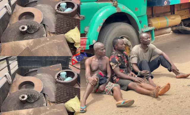 Army Nabs Suspected Vandals In Okon Palm Oil Plantation (Photos, Video) Army Nabs Suspected Vandals In Okon Palm Oil Plantation