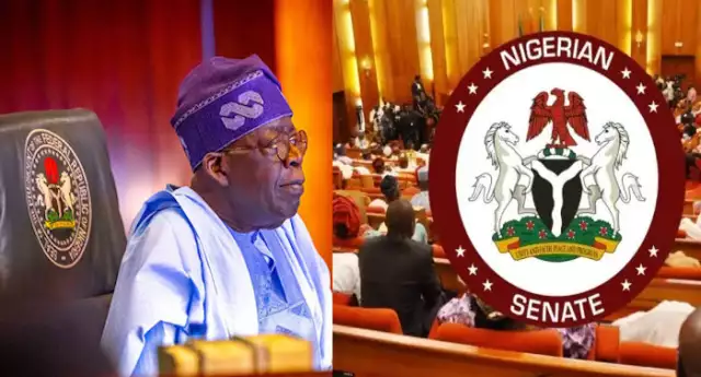 Delta Soldiers Killing: Tinubu, Senate Order Manhunt For Killers, Troops Comb Warring Communities Delta Soldiers Killing: Tinubu, Senate Order Manhunt For Killers, Troops Comb Warring Communities