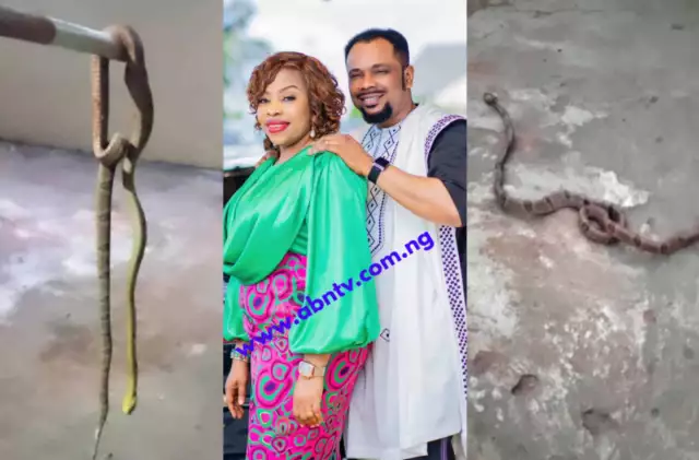 Snake Sent To Attack My Children, God’s Intervention Saved Them – Rev Ume "Snake Sent To Attack My Children, God's Intervention Saved Them"- Rev Ume
