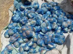 Nigerian Army Troops Discover, Destroy ISWAP Bread Factory Troops Discover ISWAP Bread Factory