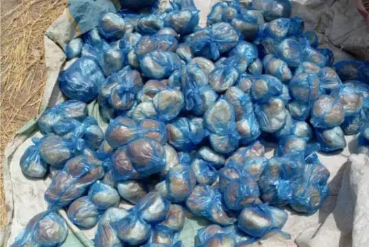 Nigerian Army Troops Discover, Destroy ISWAP Bread Factory Troops Discover ISWAP Bread Factory