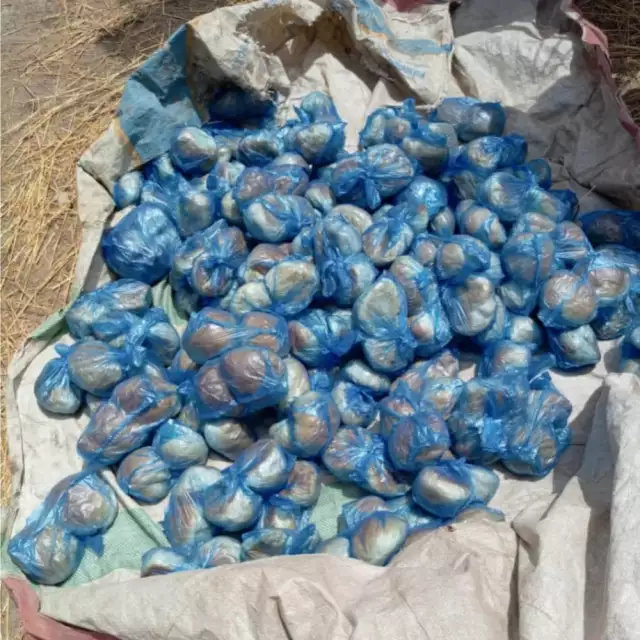 Nigerian Army Troops Discover, Destroy ISWAP Bread Factory Troops Discover ISWAP Bread Factory