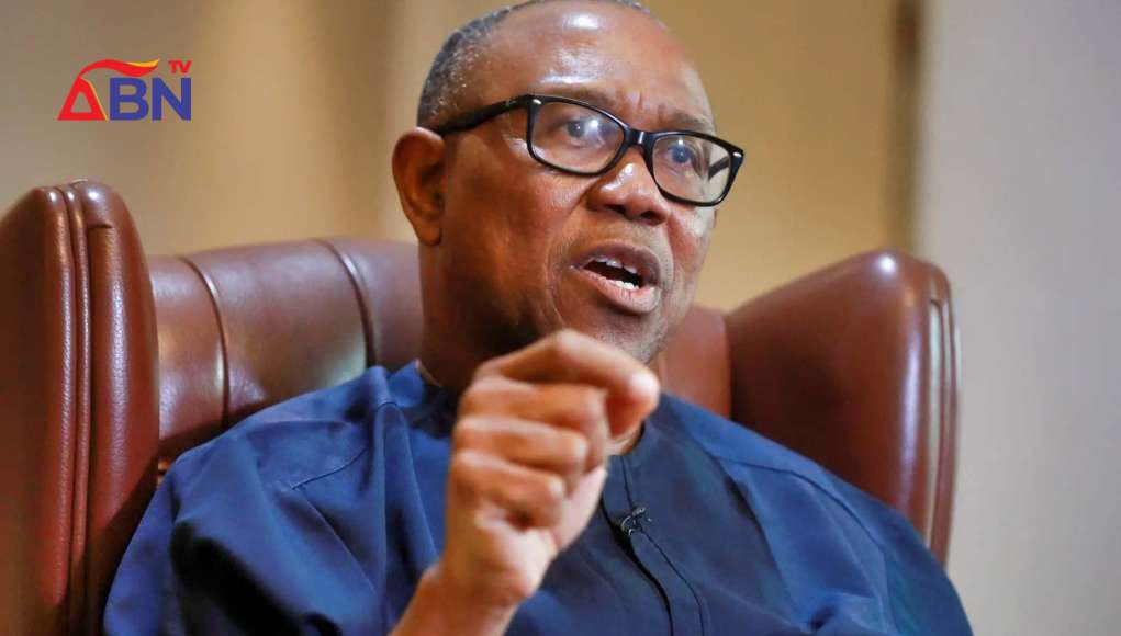 Enough Is Enough, Govt Must Show Commitment – Peter Obi On Killing In Enugu Community