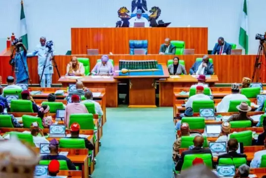 NANS Says Bill Proposing Single Term Of Six Years For President, Governors Anti-Democratic Reps Move To Investigate Promotion Stagnation In Civil Service