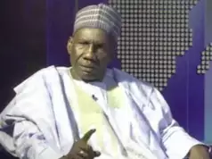 Northern Elders Unhappy With Tinubu’s Lopsided Appointments — Prof. Dikwa