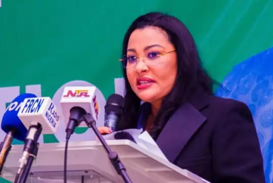 FG Has Secured $30bn Investment In Last One Year, Says Minister Of Trade And Investment