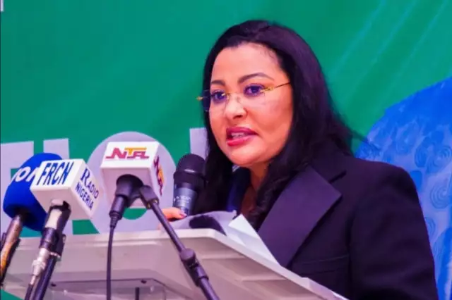 FG Has Secured $30bn Investment In Last One Year, Says Minister Of Trade And Investment