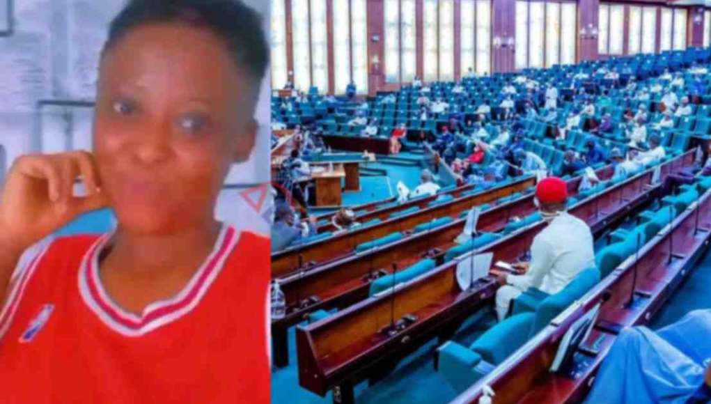 Reps Condemns Killing Of Nigerian Worker By Chinese Expatriate In Abia, Vows To Ensure Justice