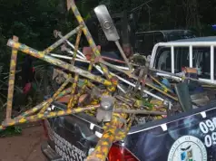 Army Kills Six During Raid On IPOB Camp In Abia Forest