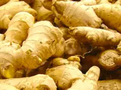 5,000 Ginger Farmers Get FG Support 5,000 Ginger Farmers Get FG Support