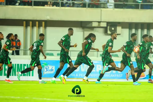 Super Eagles Must Find A Way To Qualify For 2026 World Cup – Adepoju Super Eagles Must Find A Way To Qualify For 2026 World Cup – Adepoju