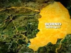 Suicide Bombers Kill Wedding Guests In Borno