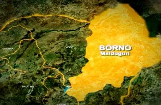 Suicide Bombers Kill Wedding Guests In Borno