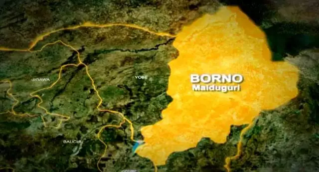 Suicide Bombers Kill Wedding Guests In Borno