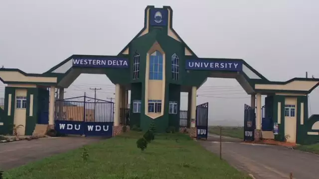 Arm Robbers Invade University In Delta