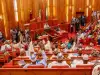 Nigerian Senate Postpones Resumption To May 6