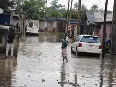 Expert Encourages Flood-Resistant Infrastructure In Nigeria Expert Encourages Flood-Resistant Infrastructure In Nigeria
