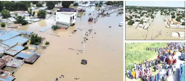 US Offers Support To Borno Flood Victims US Offers Support To Borno Flood Victims