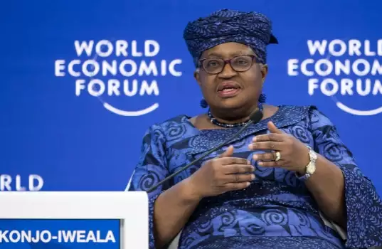 WTO: Okonjo-Iweala To Seek Second Term DG