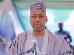 Borno Governor Worried That Terrorists May Have Escaped From Prison After Flooding