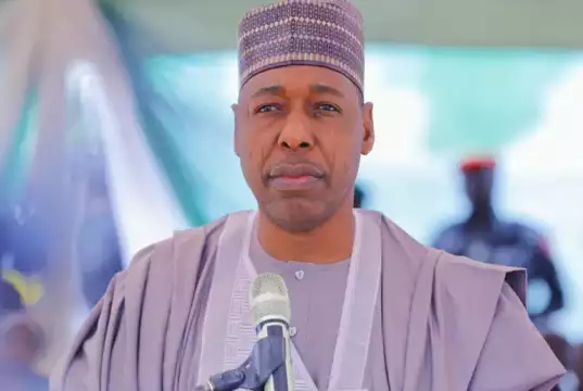 Borno Governor Worried That Terrorists May Have Escaped From Prison After Flooding