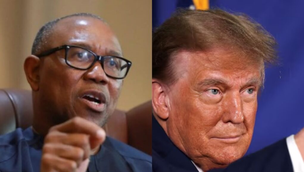 "Peter Obi is Nigeria’s Donald Trump" – Presidency