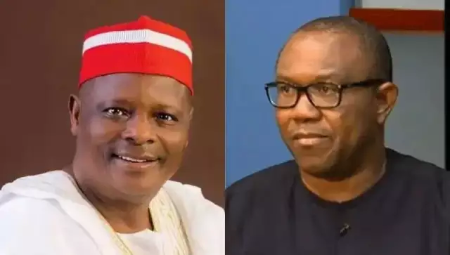 2027: We’re In Talks With Peter Obi, Kwankwaso — PDP