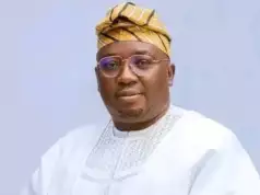 Nigerians Have Stopped Complaining About High Cost Of Fuel Because We Have Made Light Available — Minister Of Power