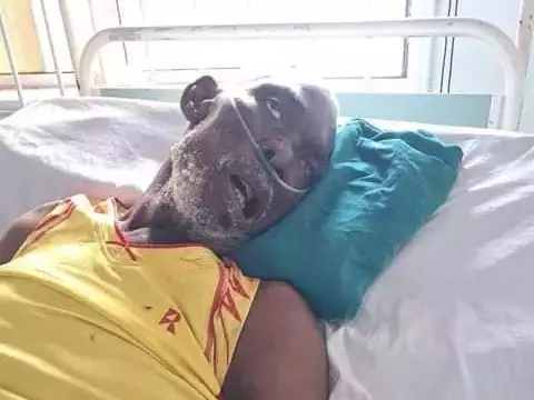 Ex-Super Eagles Goalkeeper Battles For Life In Hospital, Odegbami Speaks Out Ex-S'Eagles Goalkeeper Battles For Life In Hospital, Odegbami Speaks Out