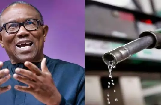Reverse Fuel Price Hike, Ease Nigerians’ Economic Burden – Peter Obi Tells FG Reverse Fuel Price Hike, Ease Nigerians' Economic Burden - Peter Obi Tells FG