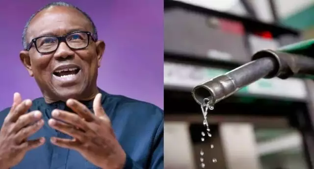 Reverse Fuel Price Hike, Ease Nigerians’ Economic Burden – Peter Obi Tells FG Reverse Fuel Price Hike, Ease Nigerians' Economic Burden - Peter Obi Tells FG