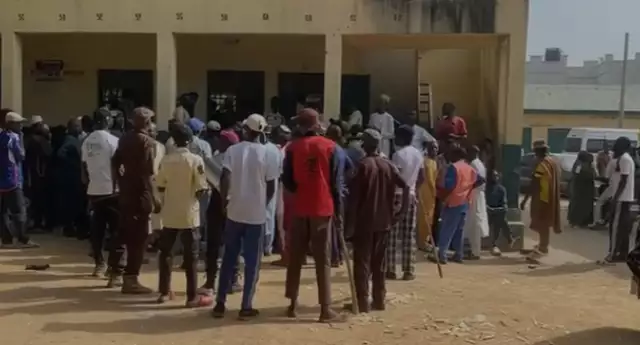 Kano LG Polls: Stick-wielding Vigilante Provides Security As Police Shun Exercise