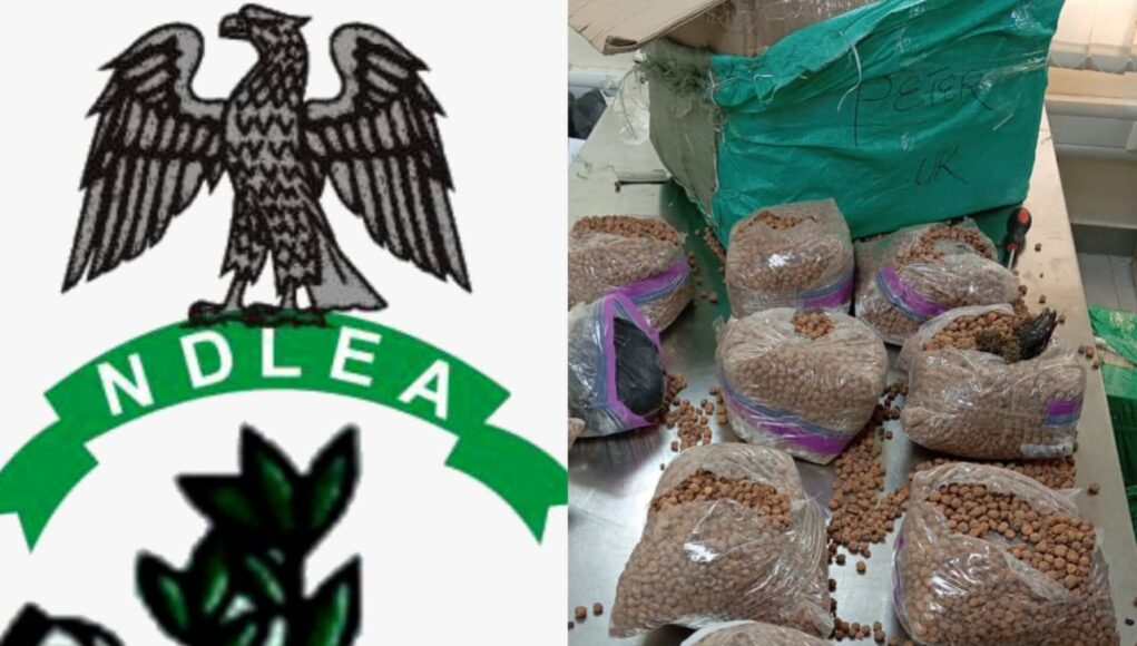 NDLEA Finds UK-Bound Drugs Hidden In Tiger Nuts, Groundnut Packages